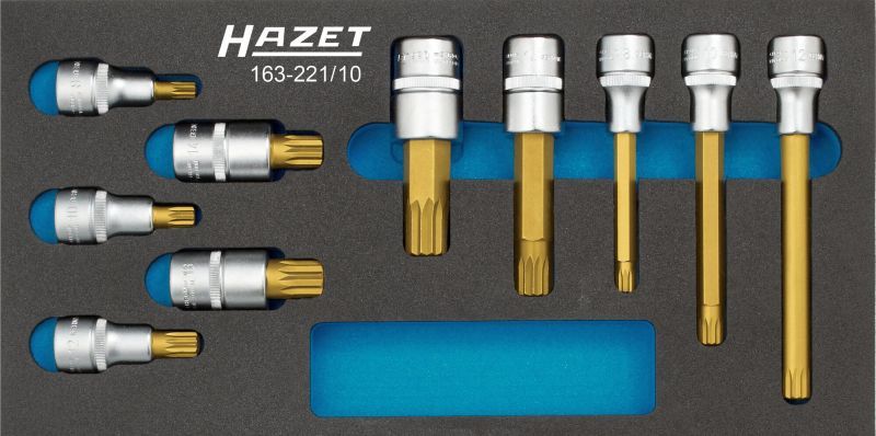 HAZET Steckschlüsselsatz (163-221/10)