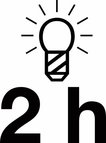 HAZET Handleuchte (1979W-82)
